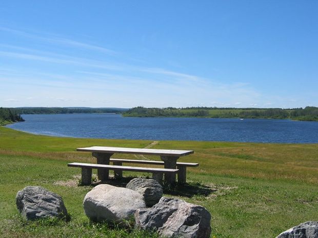 Picnic table with a view of the lake.