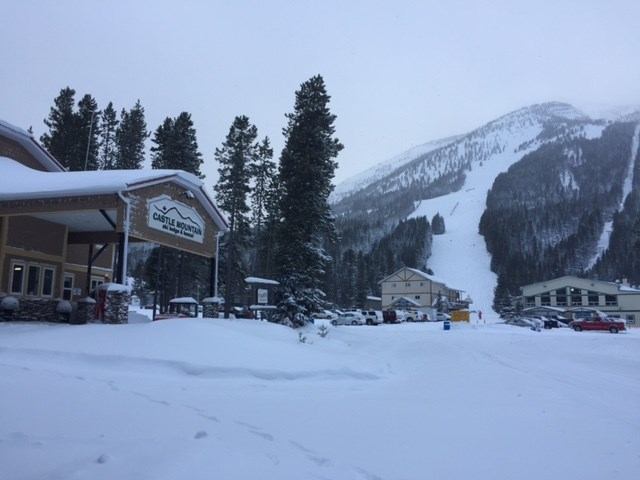 Castle Mountain Ski Lodge with snowy landscape, pine trees, and ski trails.