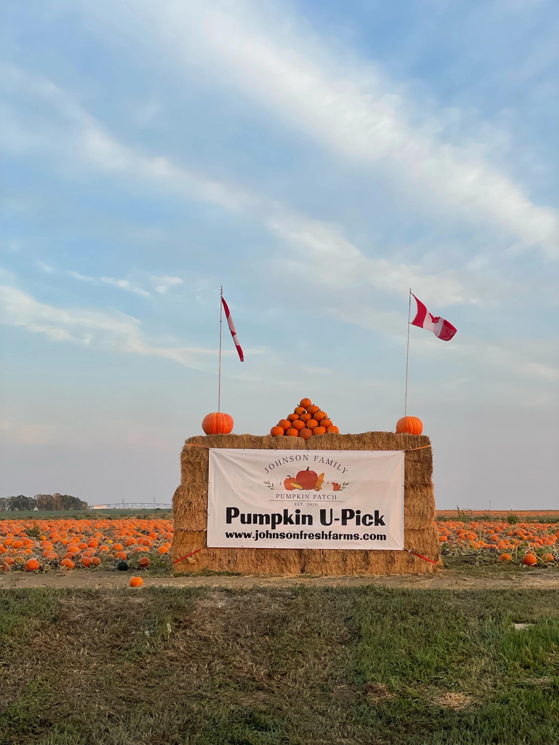 Pumpkin U-Pick sign on hay bales with pumpkins and Canadian flags in a field.
