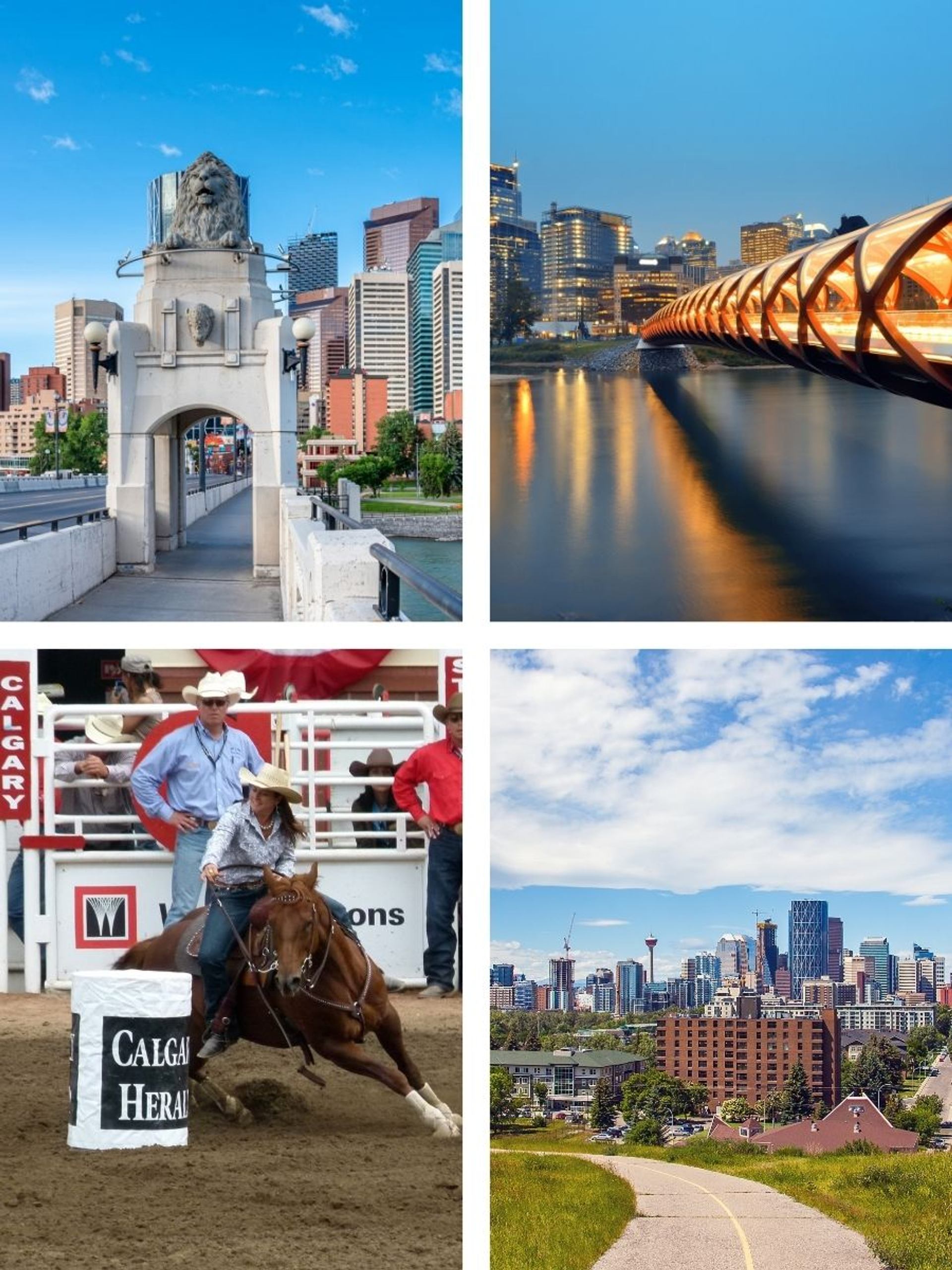 A collage highlights Calgary landmarks, downtown skyline views, Peace Bridge, and rodeo competition scenes.
