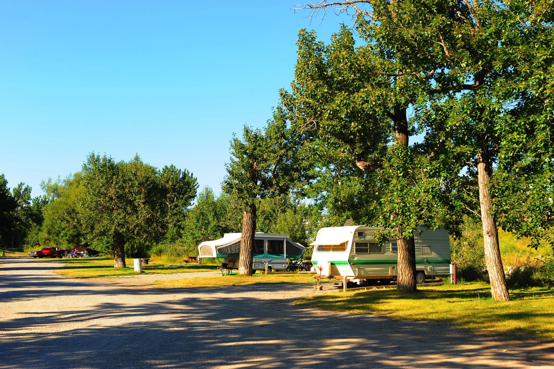 RVs parked at wooded campground under clear blue sky.
