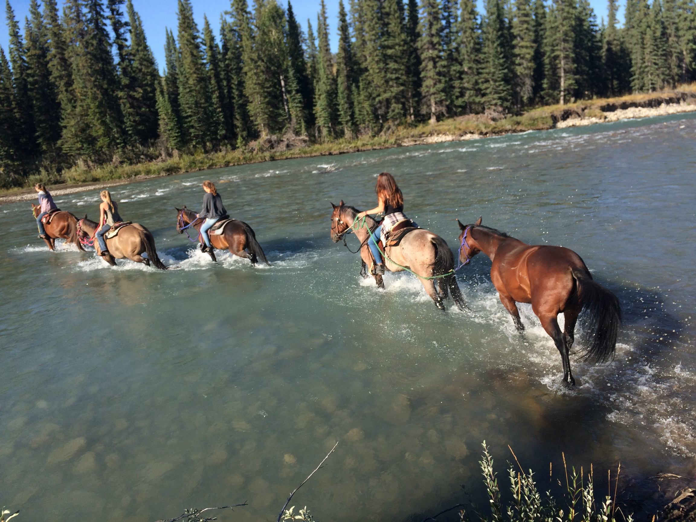 JKL Trail Rides At Diamond J | Canada's Alberta