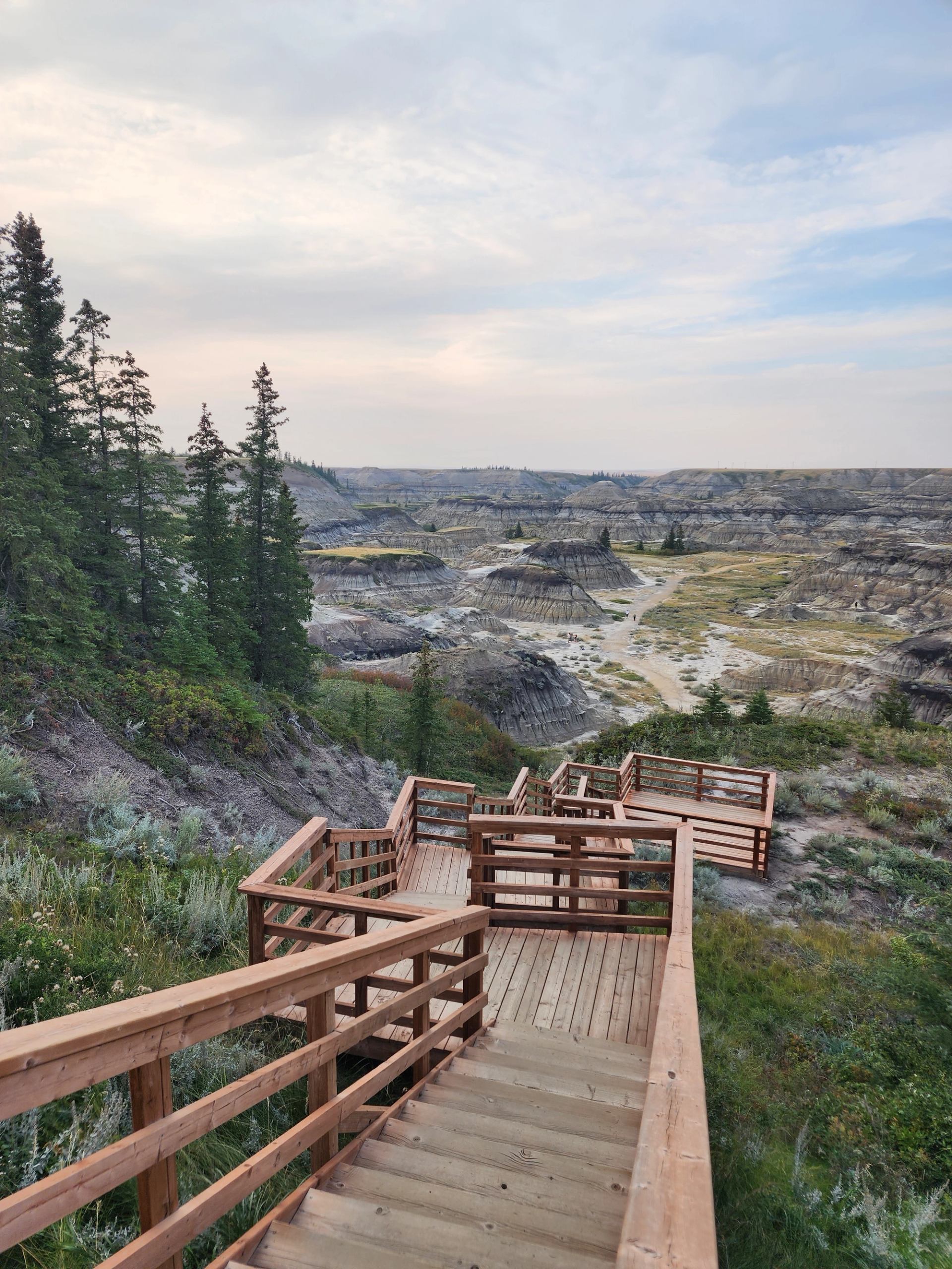 Wooden boardwalk with railings winding down into a scenic badlands landscape, surrounded by rugged hills, sparse vegetation, and a few tall evergreen trees.