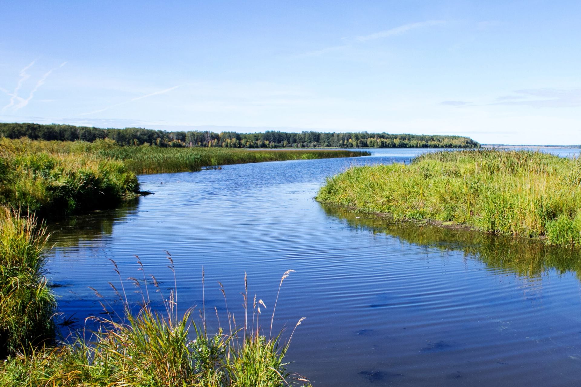 Calm river curves through green marsh grasses under clear blue sky.