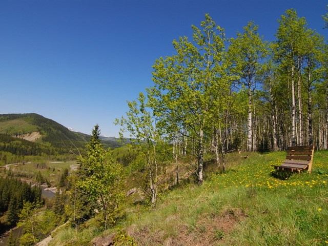 A bench and scenic view in Sheep River Valley.