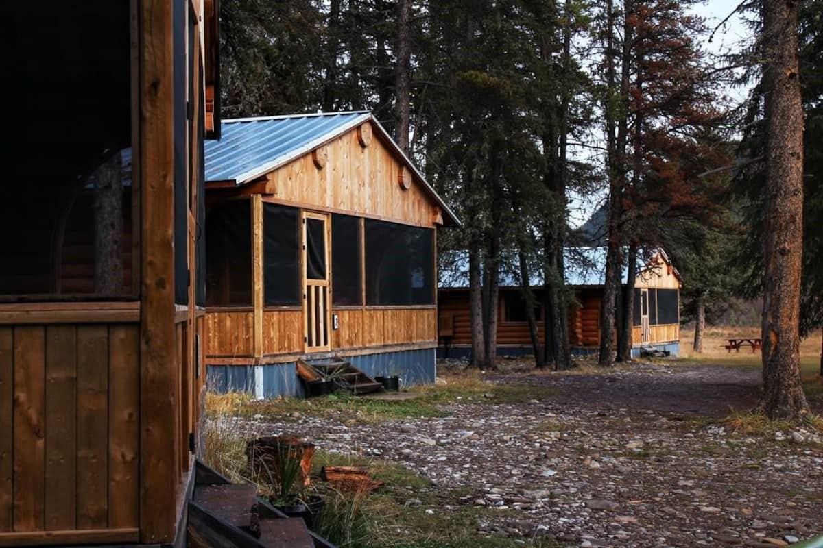 Wooden cabins with screened porches nestled among tall pine trees at Rock Lake Lodge.