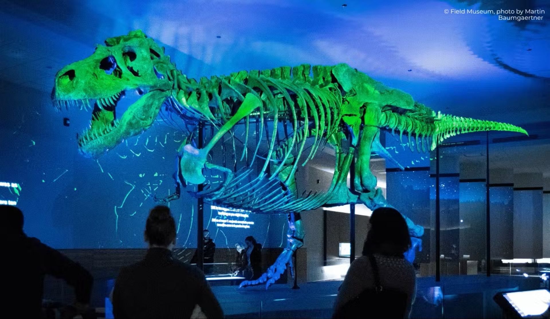 Large green dinosaur skeleton suspended in dark museum gallery as visitors look up.