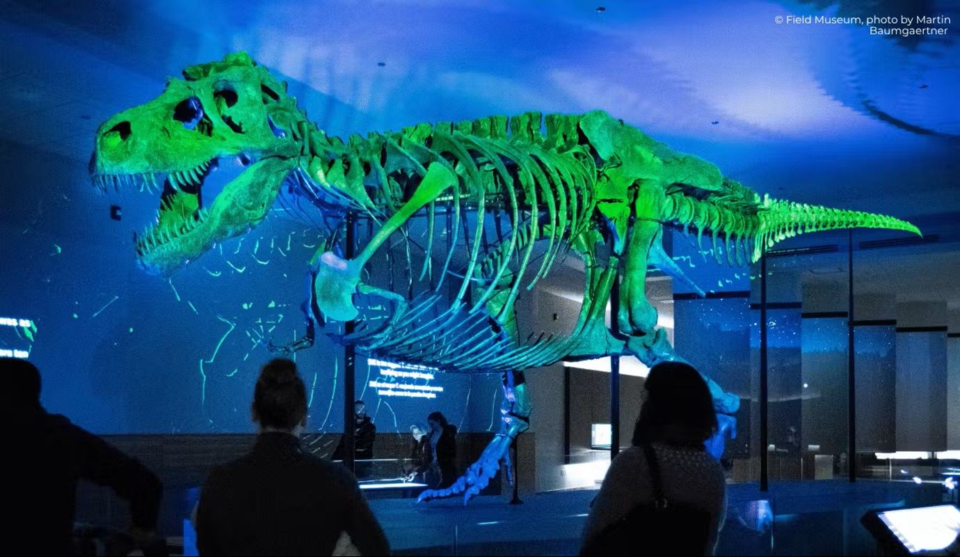 Large green dinosaur skeleton suspended in dark museum gallery as visitors look up.