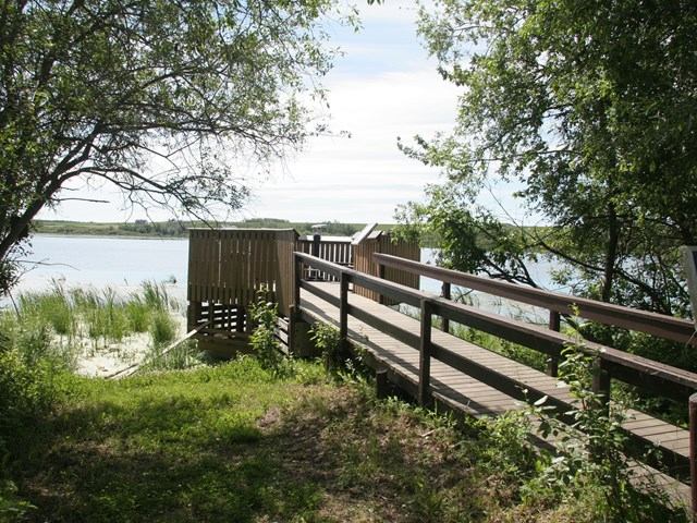 Boardwalk to lake surrounded by trees at Saskatoon Island Provincial Park.