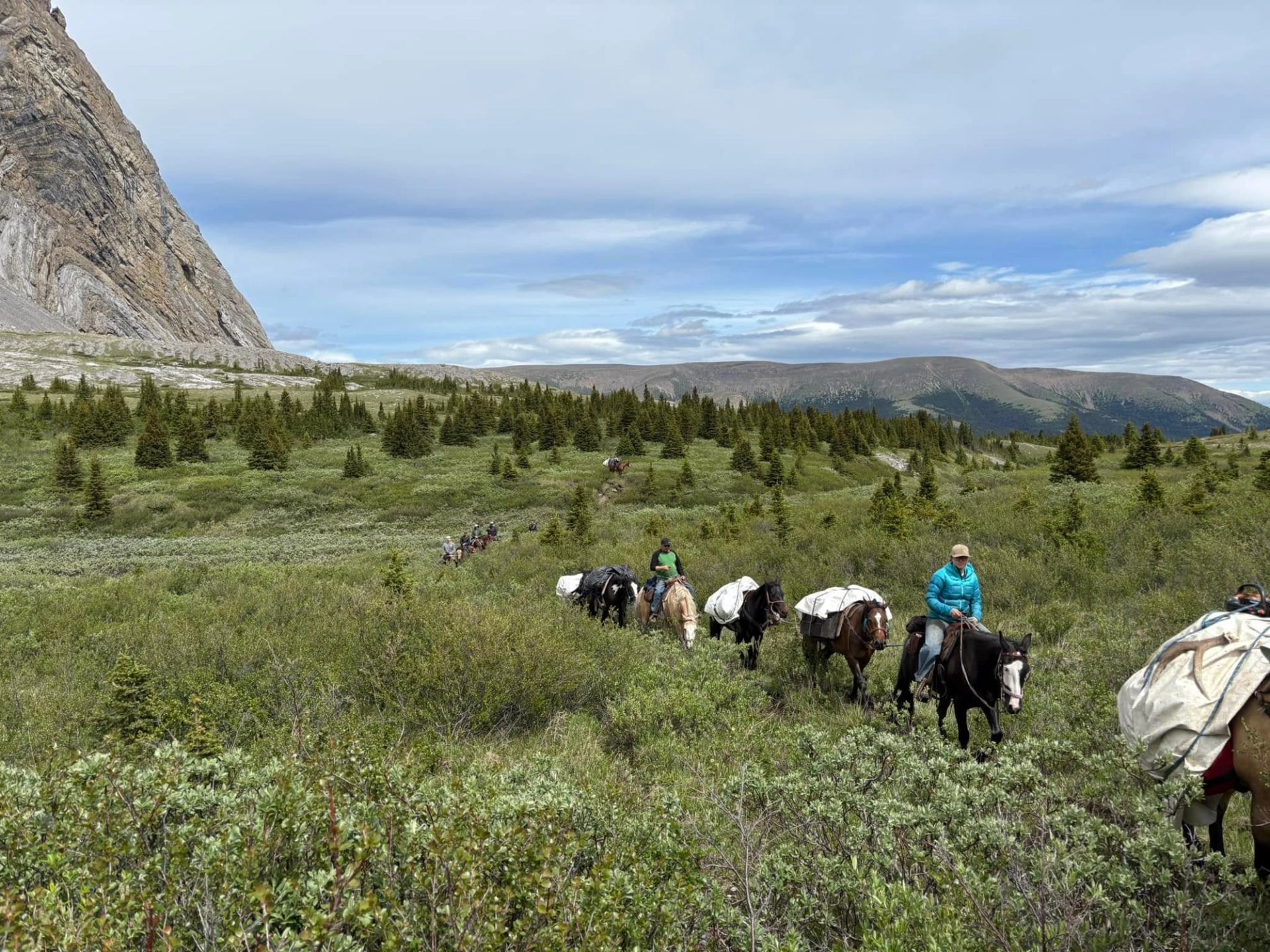 Pack horses with riders follow a narrow trail through open alpine valley and shrubs.