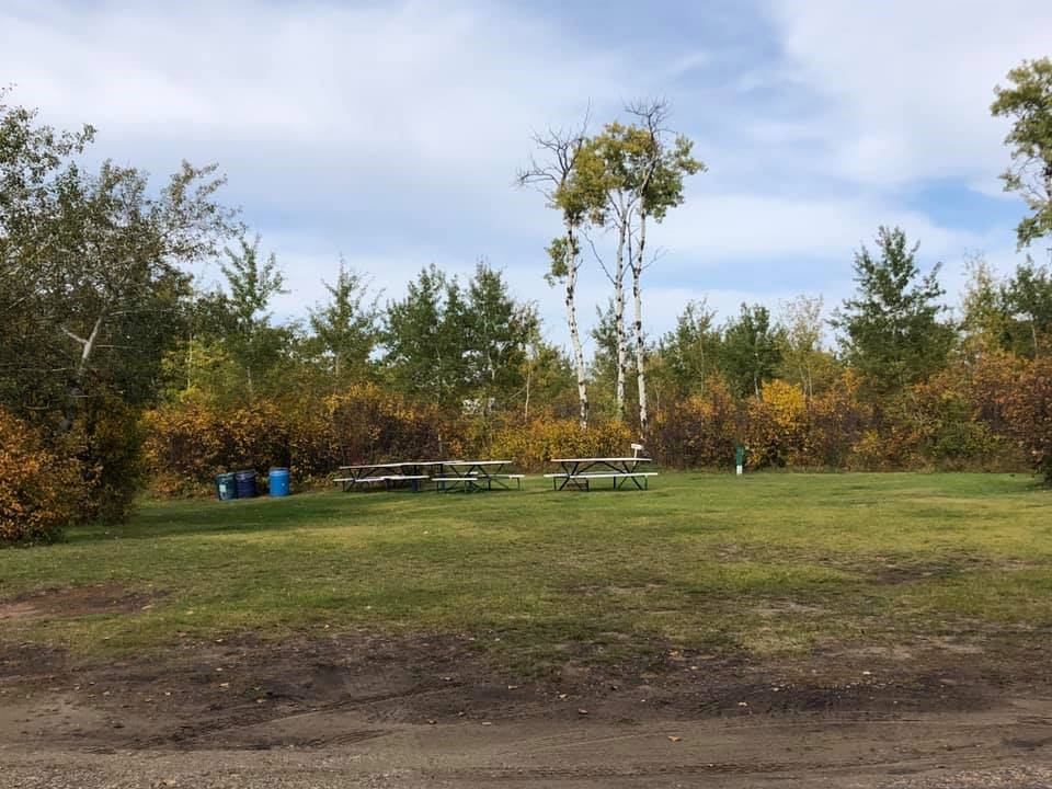 Arm Lake Recreation Area showcases an open grassy picnic space with several picnic tables set among trees with early autumn foliage, bordered by low bushes and natural greenery under a soft blue sky.
