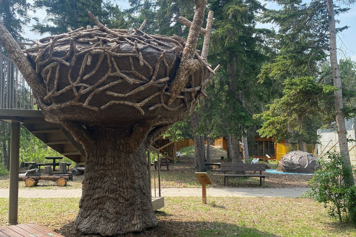 Medicine River Wildlife Centre displays a large nest structure beside a raised walkway, benches, trees, and outdoor exhibits.