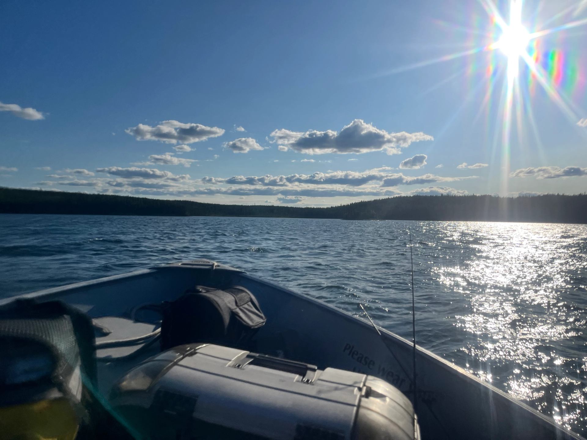 Lake view from boat with sparkling water, trees, and sunny sky.