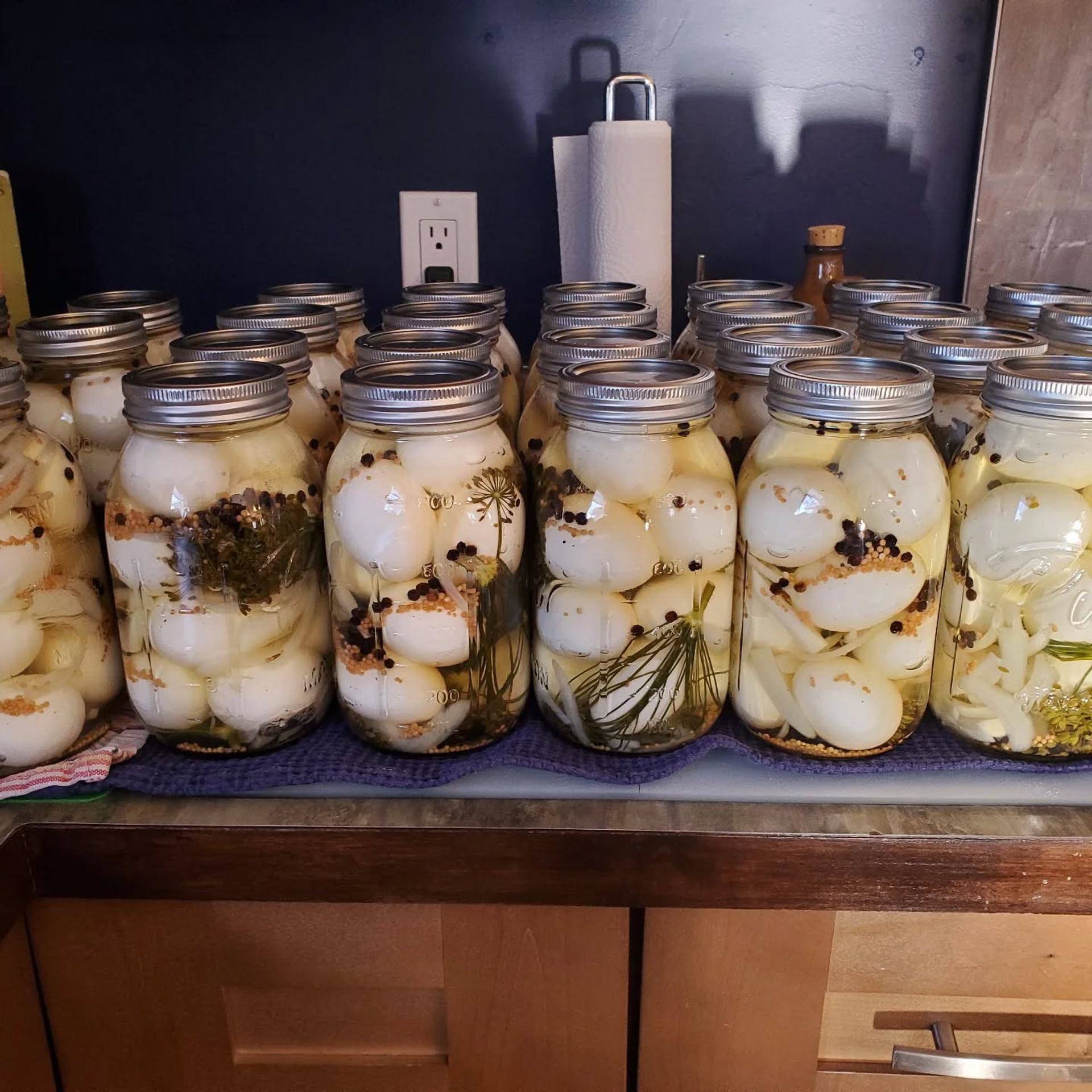 Rows of glass jars filled with preserved eggs, herbs, and spices are lined up on a kitchen counter.