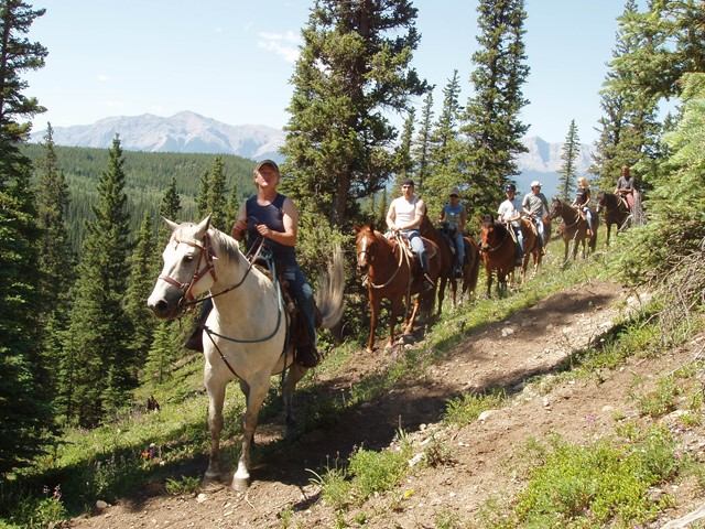 People riding horses on a trail