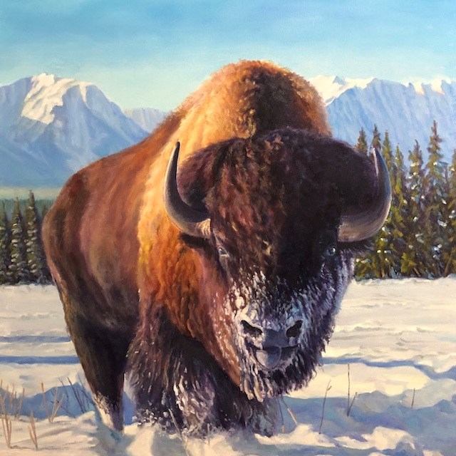 Painted bison in a snowy landscape with mountains and pine trees in the background.