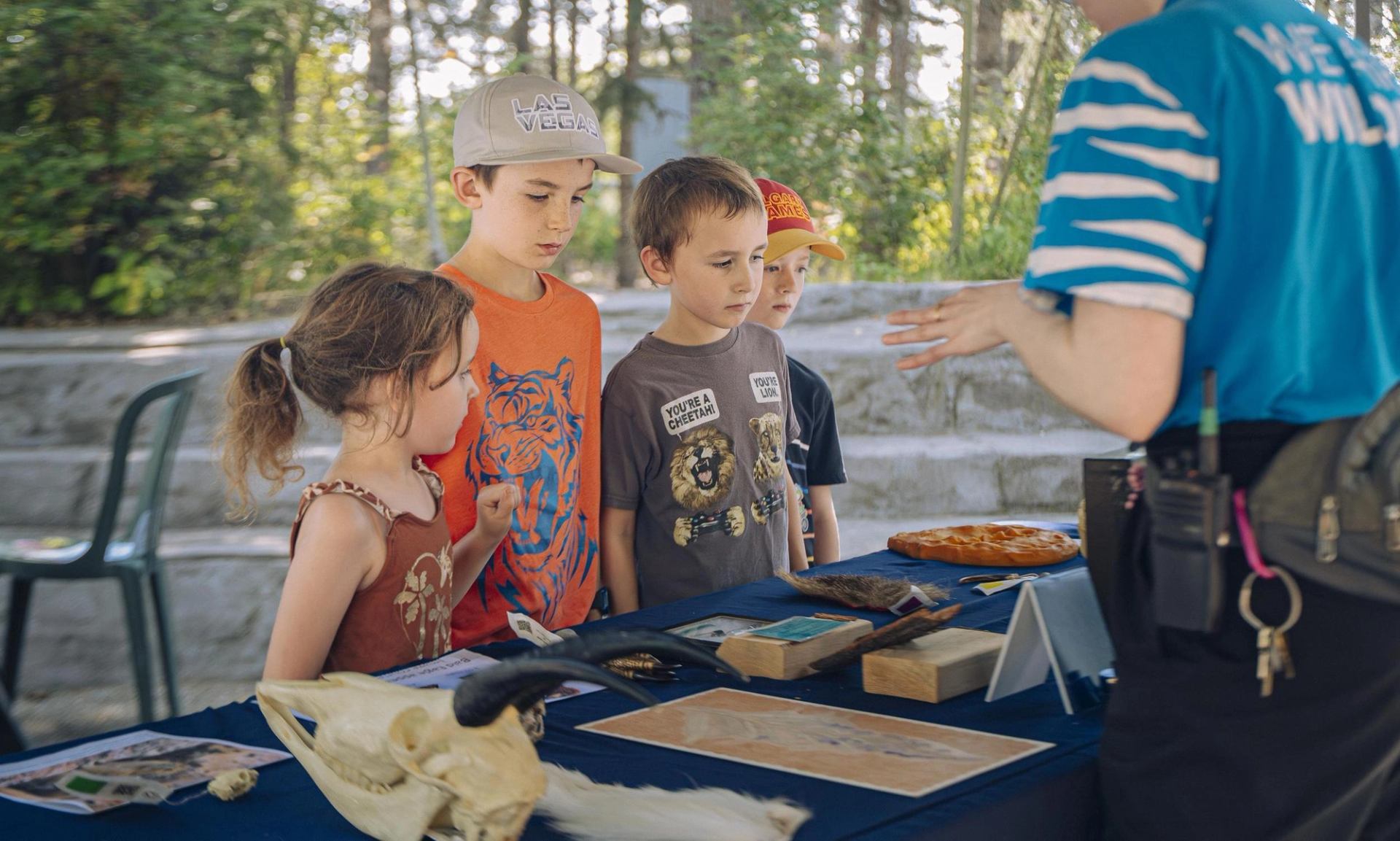 Four children stand at an outdoor display table while a presenter shows animal specimens and educational materials.  Provide your feedback on BizChat