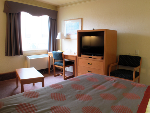 Bright hotel room with bed, TV, table set, and window with curtains.