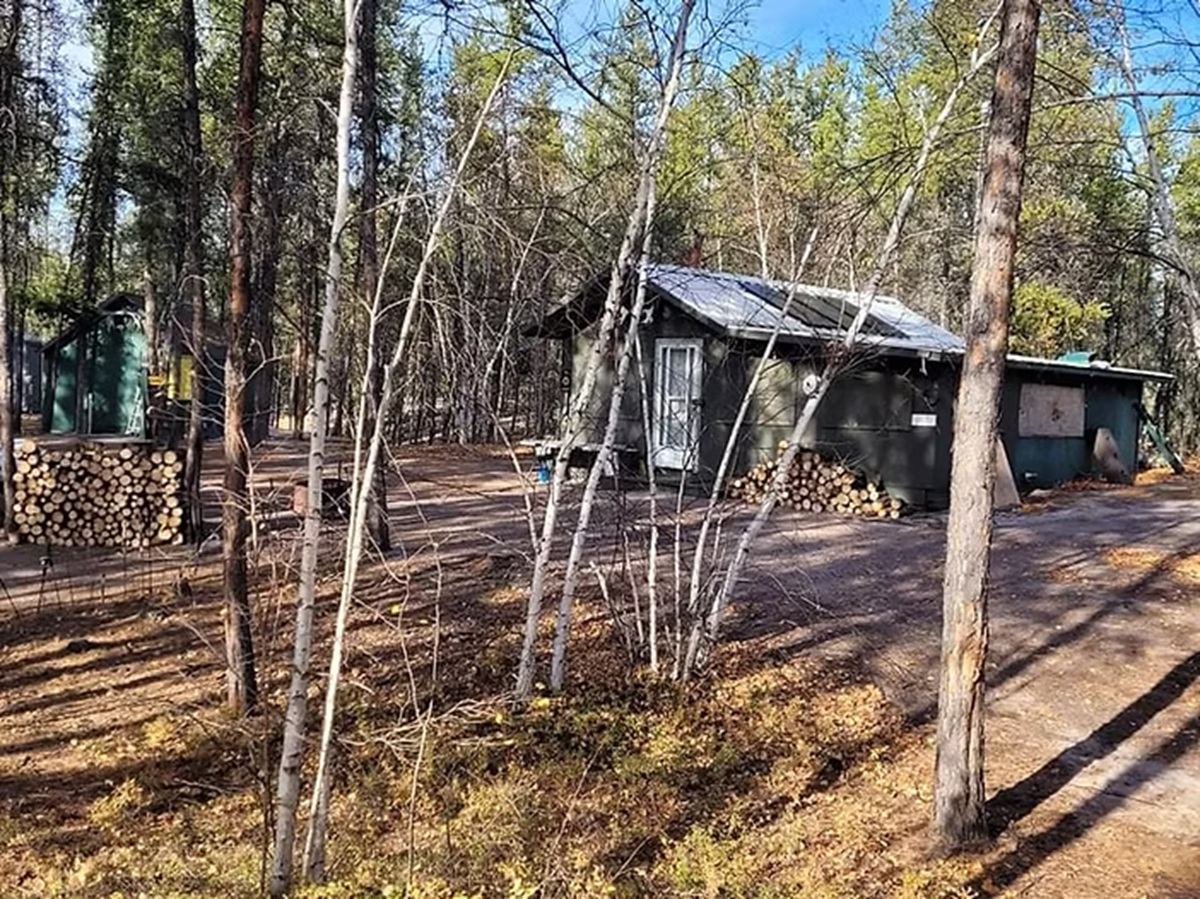 Small dark cabin with stacked firewood, surrounded by tall trees and dirt ground.