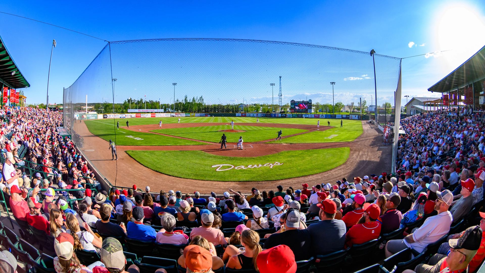 Crowd-filled baseball stadium with players on the field under a bright blue sky.