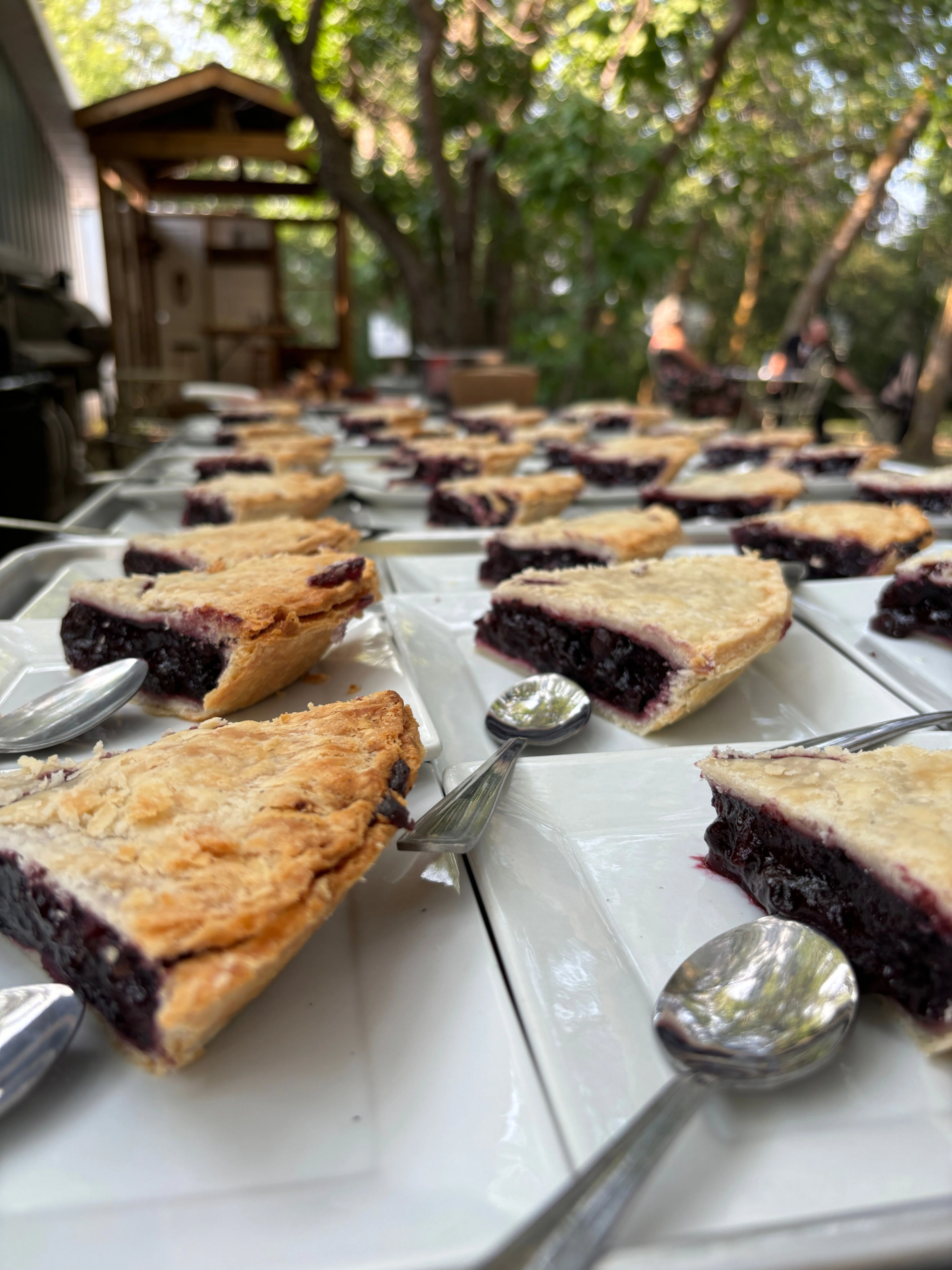 Slices of berry pie on white plates with spoons, arranged on outdoor table under trees.