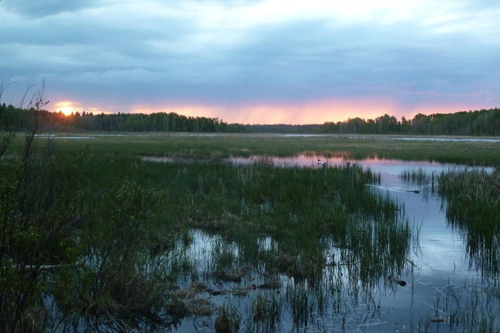 Medicine River Wildlife Centre shows a calm wetland at sunset with reflective water, tall grasses, and a tree-lined horizon.