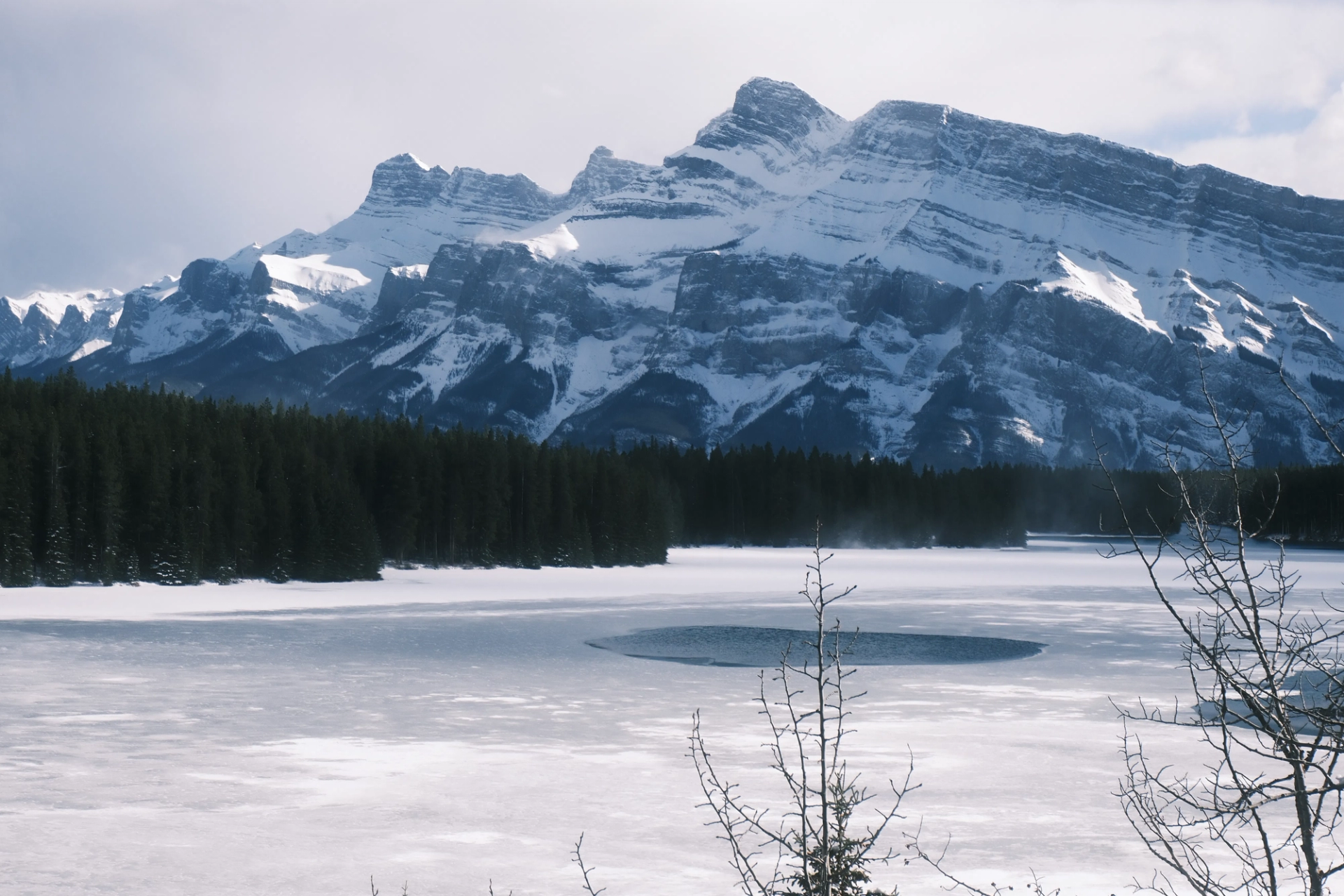Snow-covered mountain range above frozen lake, dense evergreen forest and bare shrubs in foreground.