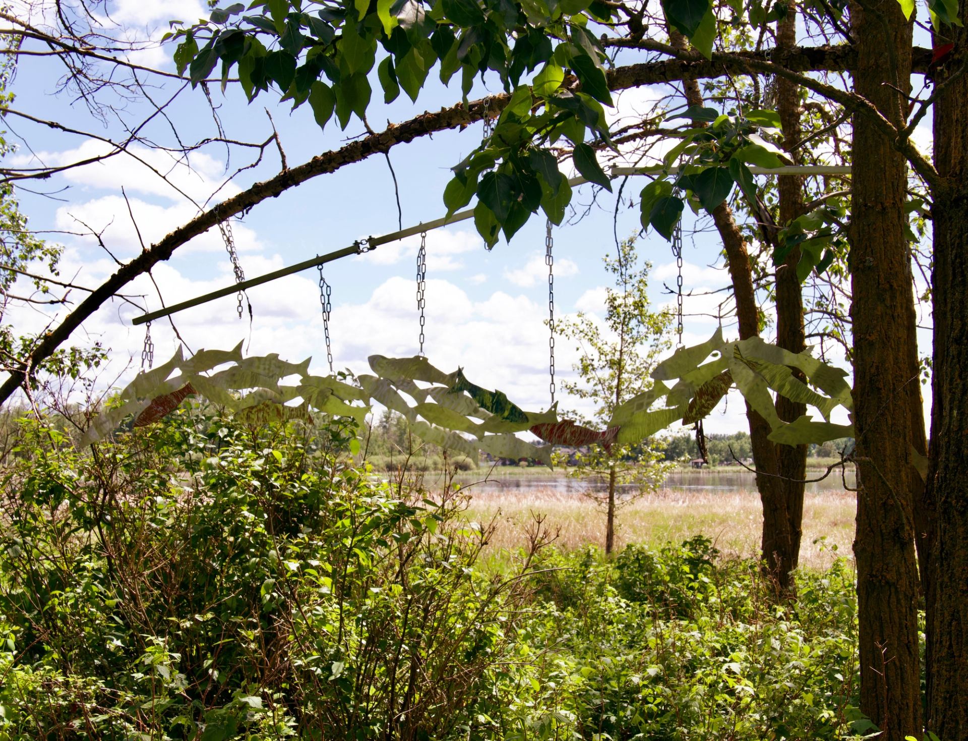 Metal fish sculptures hang from tree branches above dense green bushes near water.