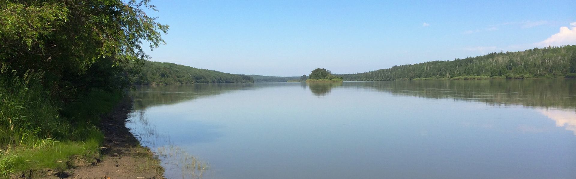 The image shows calm water bordered by forest, with a grassy shoreline in the left foreground.