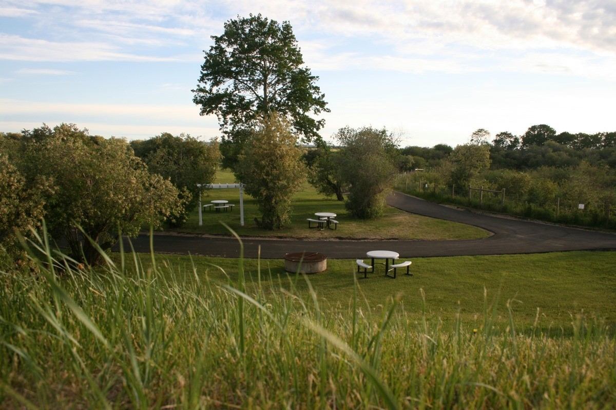 Campground picnic tables, fire rings, and paved road along green grassy area with trees.
