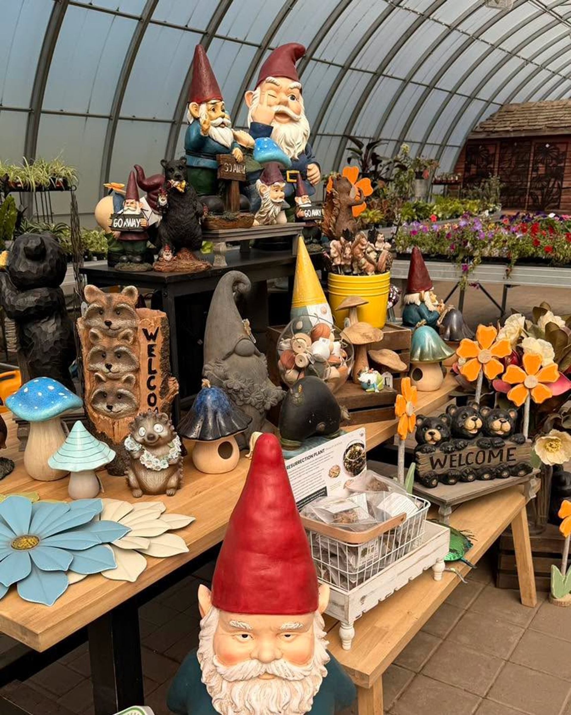 Garden centre display with gnome statues, animal ornaments and colourful decorative flowers.