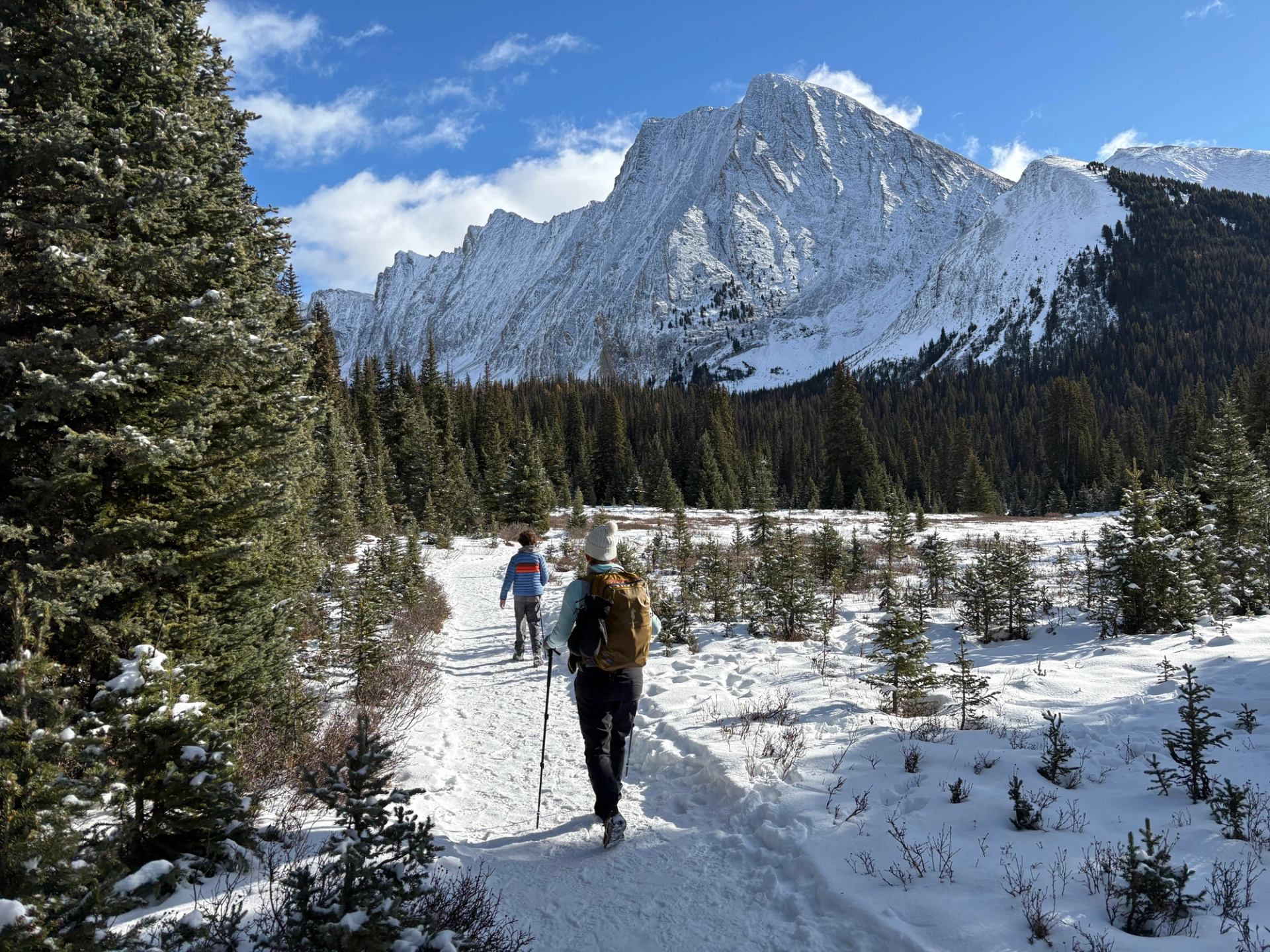 Snow-covered trail with hikers surrounded by pine trees and towering rocky peaks.