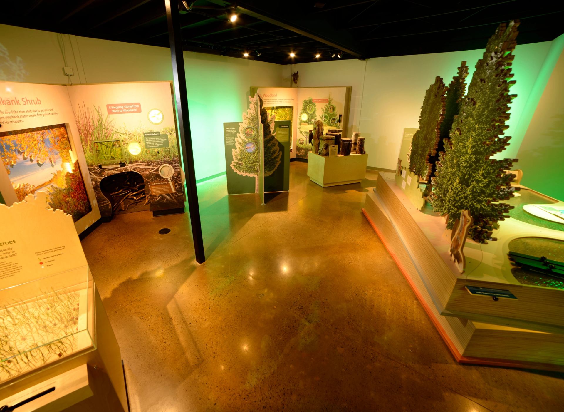 Interactive exhibits in the Kerry Wood Nature Centre.