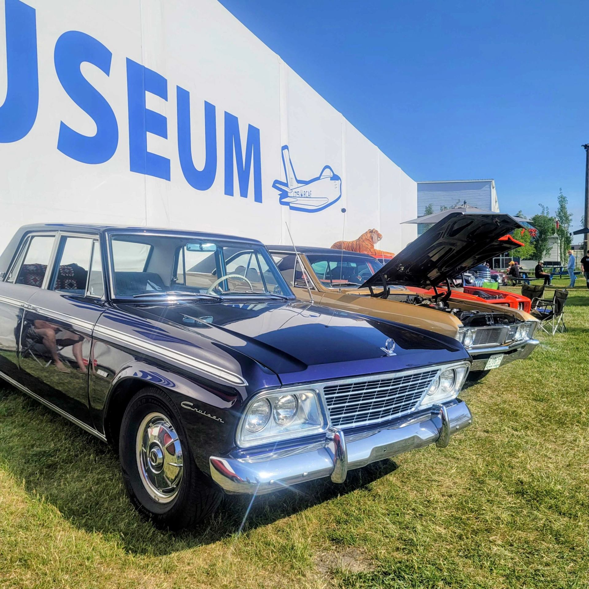 Classic cars parked on grass outside museum building with large blue sign and plane graphic.
