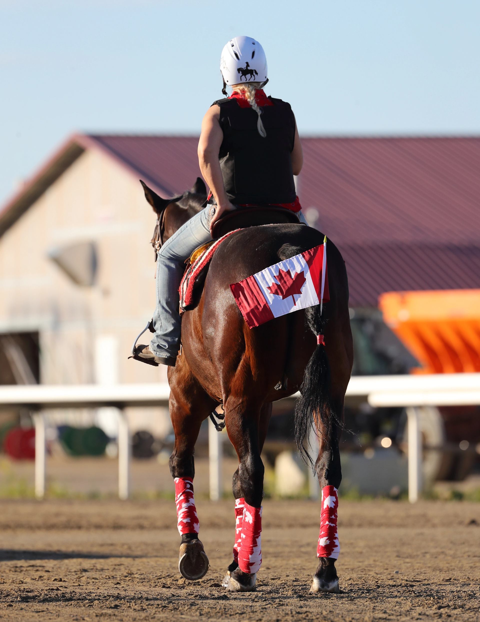 Person riding a horse decorated with a Canadian flag and red leg wraps at a racetrack.