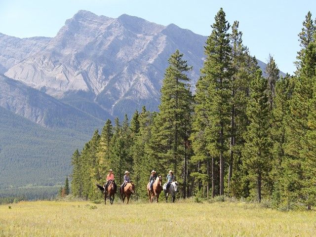 Group of people horse back riding in David Thompson Country.