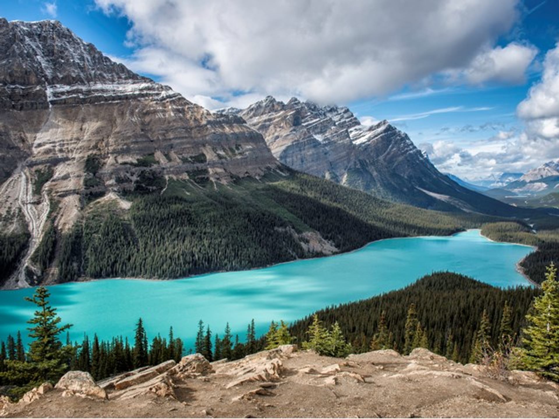 View of Peyto Lake surrounded by mountains in Banff National Park.