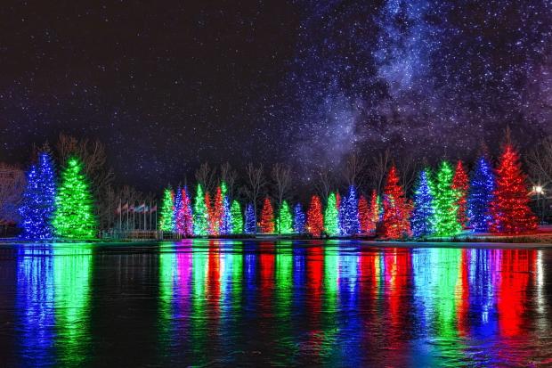 Lit Christmas Trees at Spruce Meadows during their Christmas Market