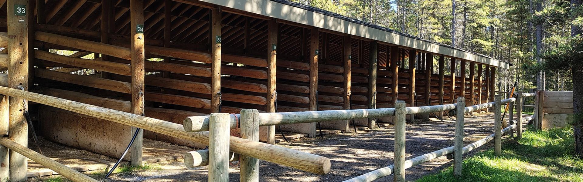 Wooden horse stalls with numbered bays behind a split-rail fence in a forest.