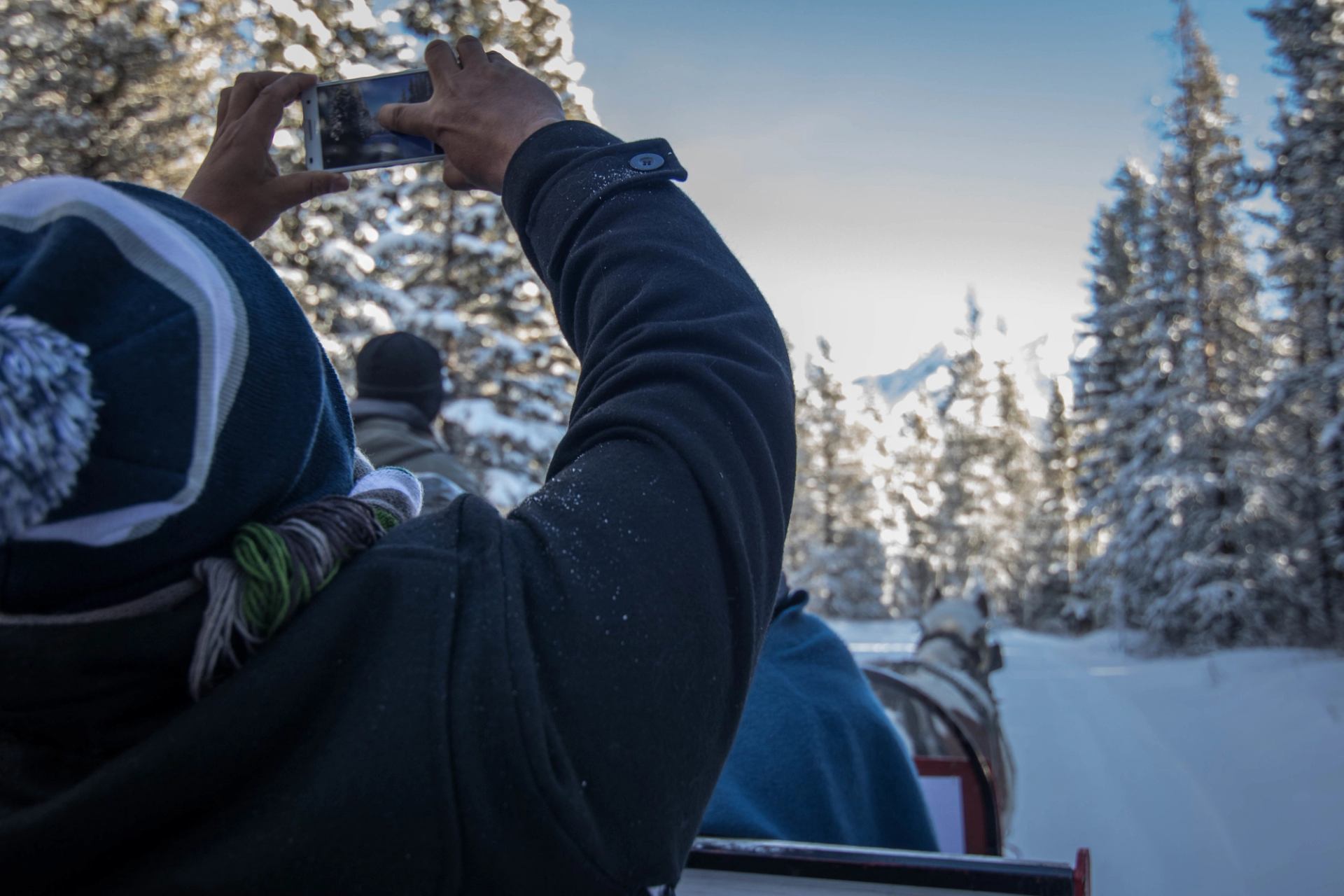 Person taking a photo during a horse-drawn sleigh ride through snowy Rocky Mountain forest.