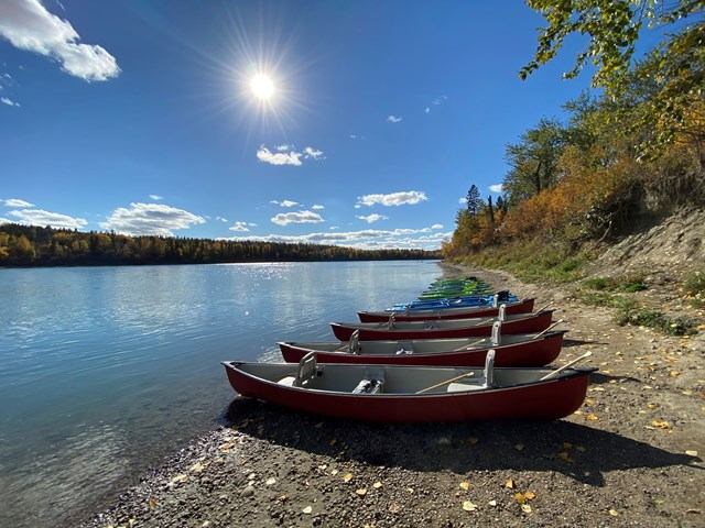 Red canoes lined up on calm lake shore under clear blue sky.