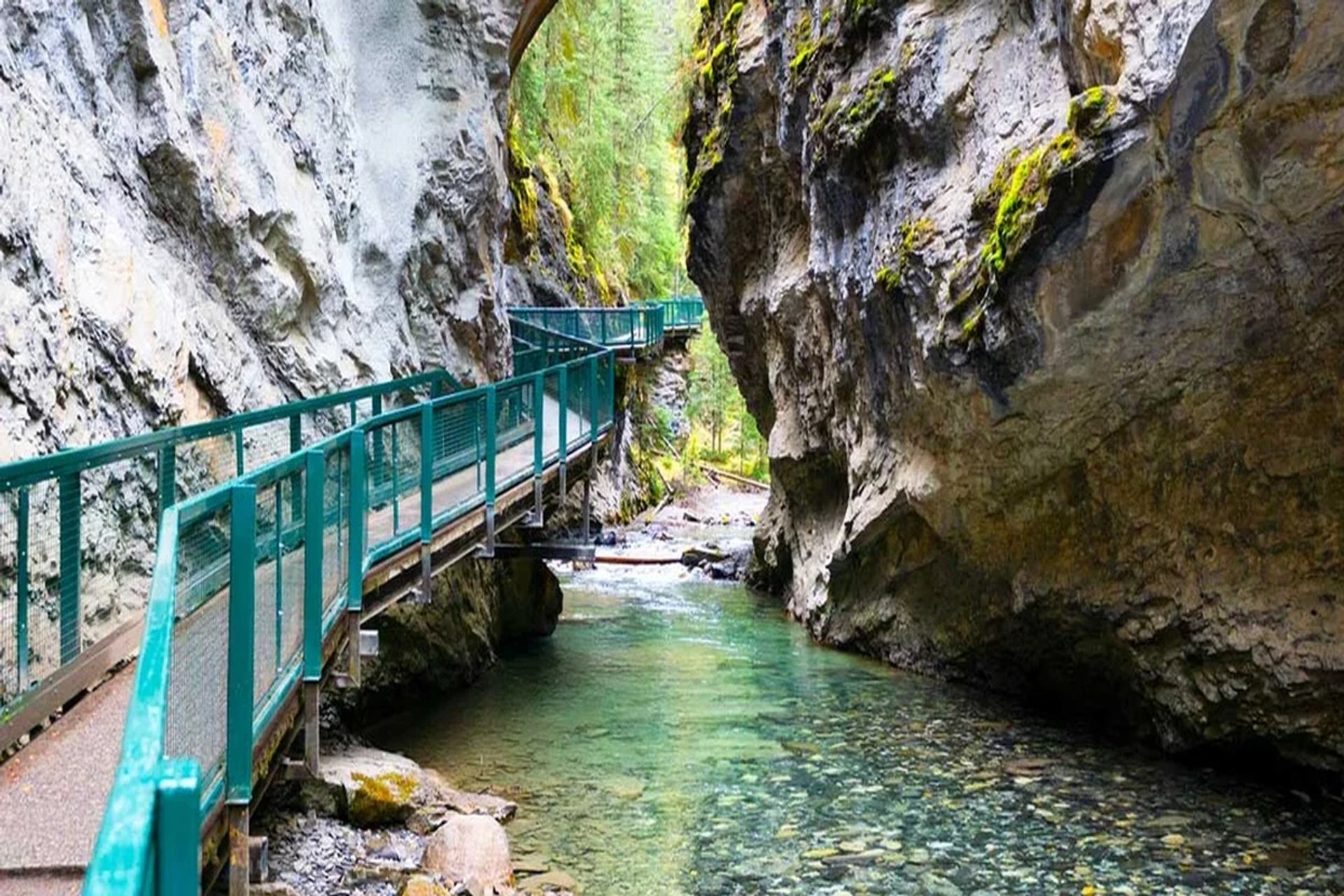 Elevated walkway follows a turquoise stream through a narrow, moss-covered rocky canyon.
