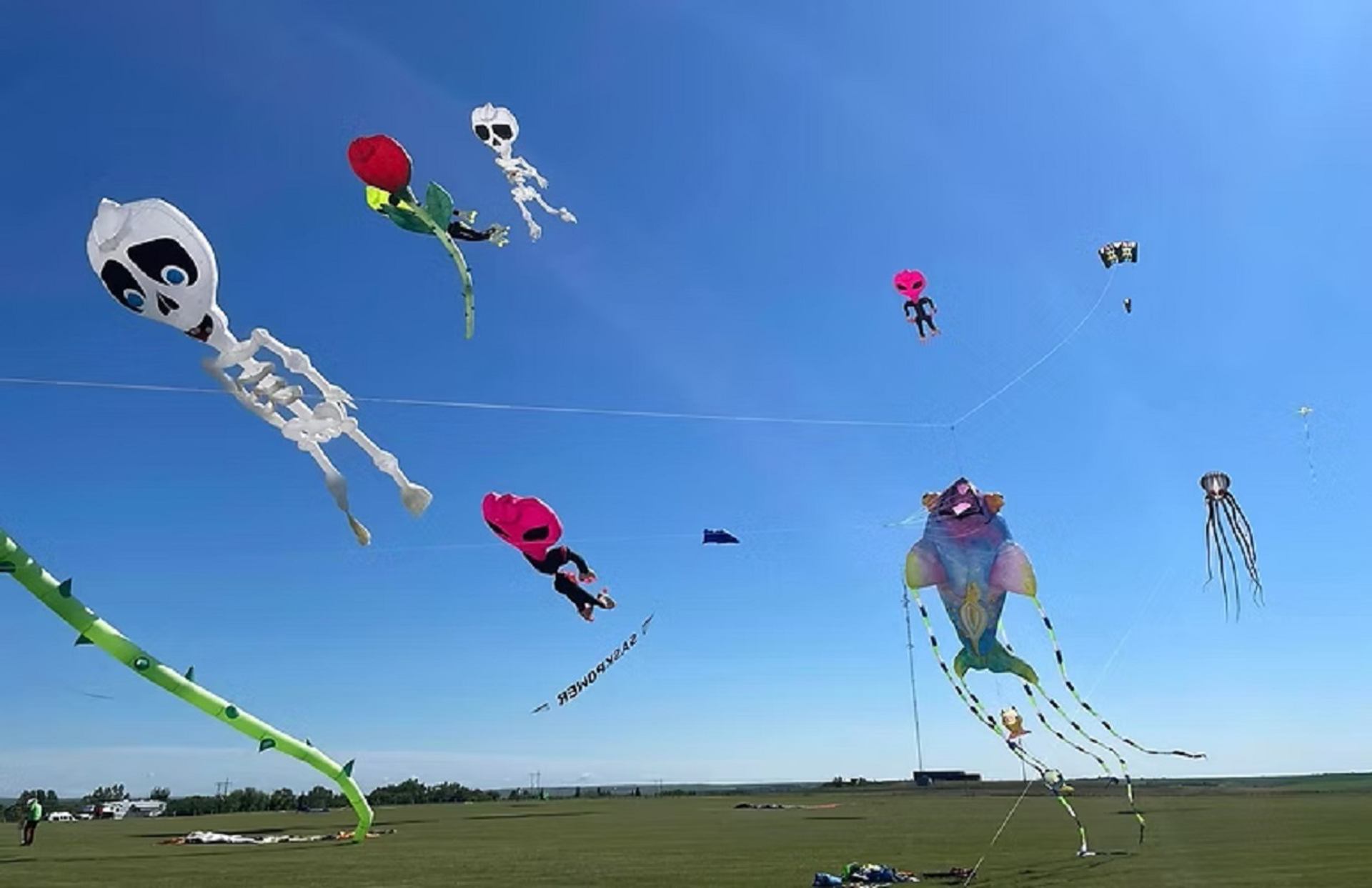 Colourful character kites, including skeletons and octopus, flying above an open field.