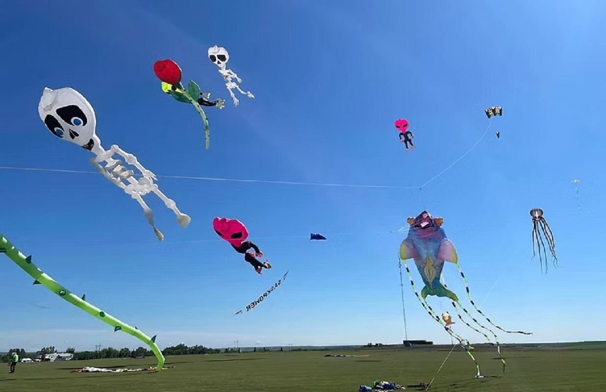 Colourful character kites, including skeletons and octopus, flying above an open field.