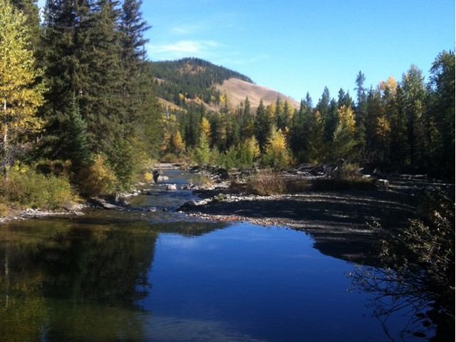Racehorse Provincial Recreation Area