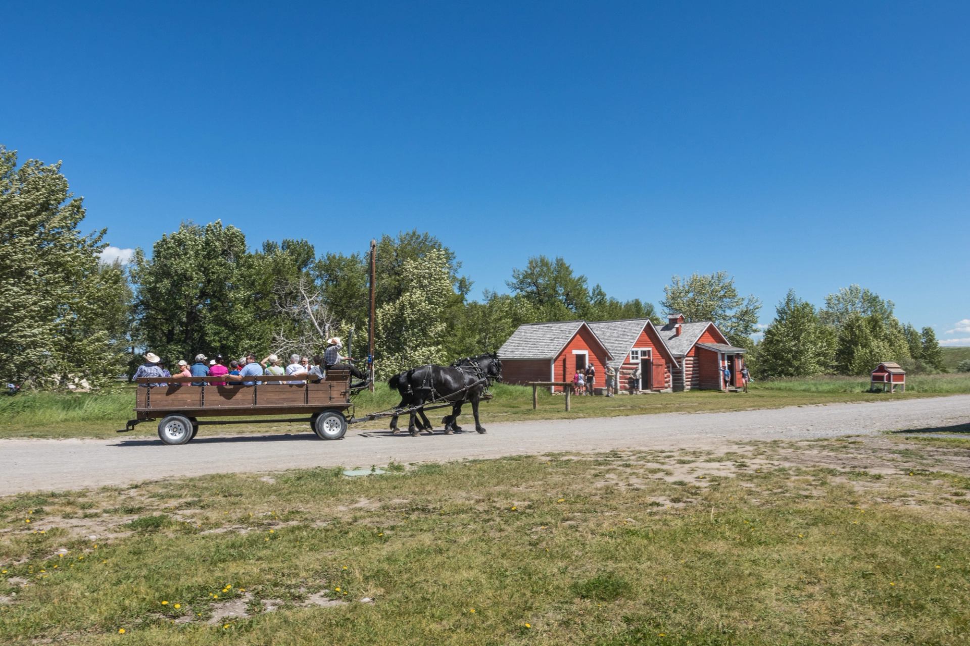 A horse-drawn wagon carries visitors past red ranch buildings on a sunny day.