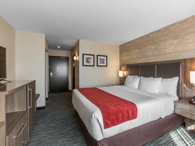 Modern guest room with king bed, red accent runner, and wood furnishings.