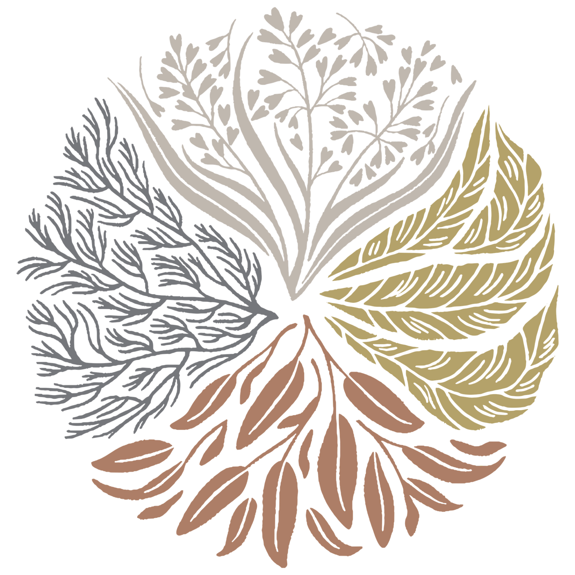 Circular botanical illustration with four coloured leaf clusters forming a stylized wreath.