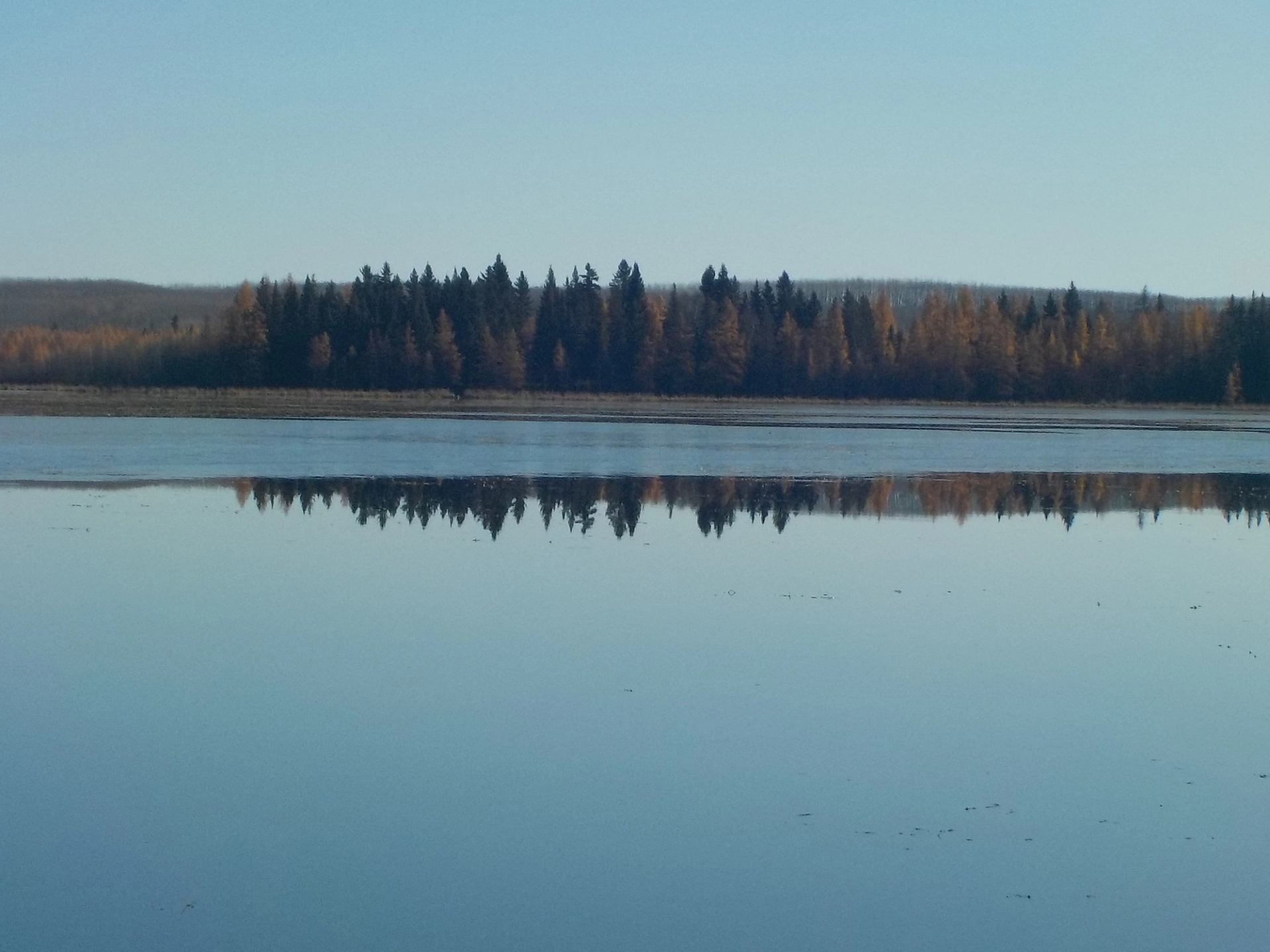 Calm lake reflecting trees and hills under a clear sky.