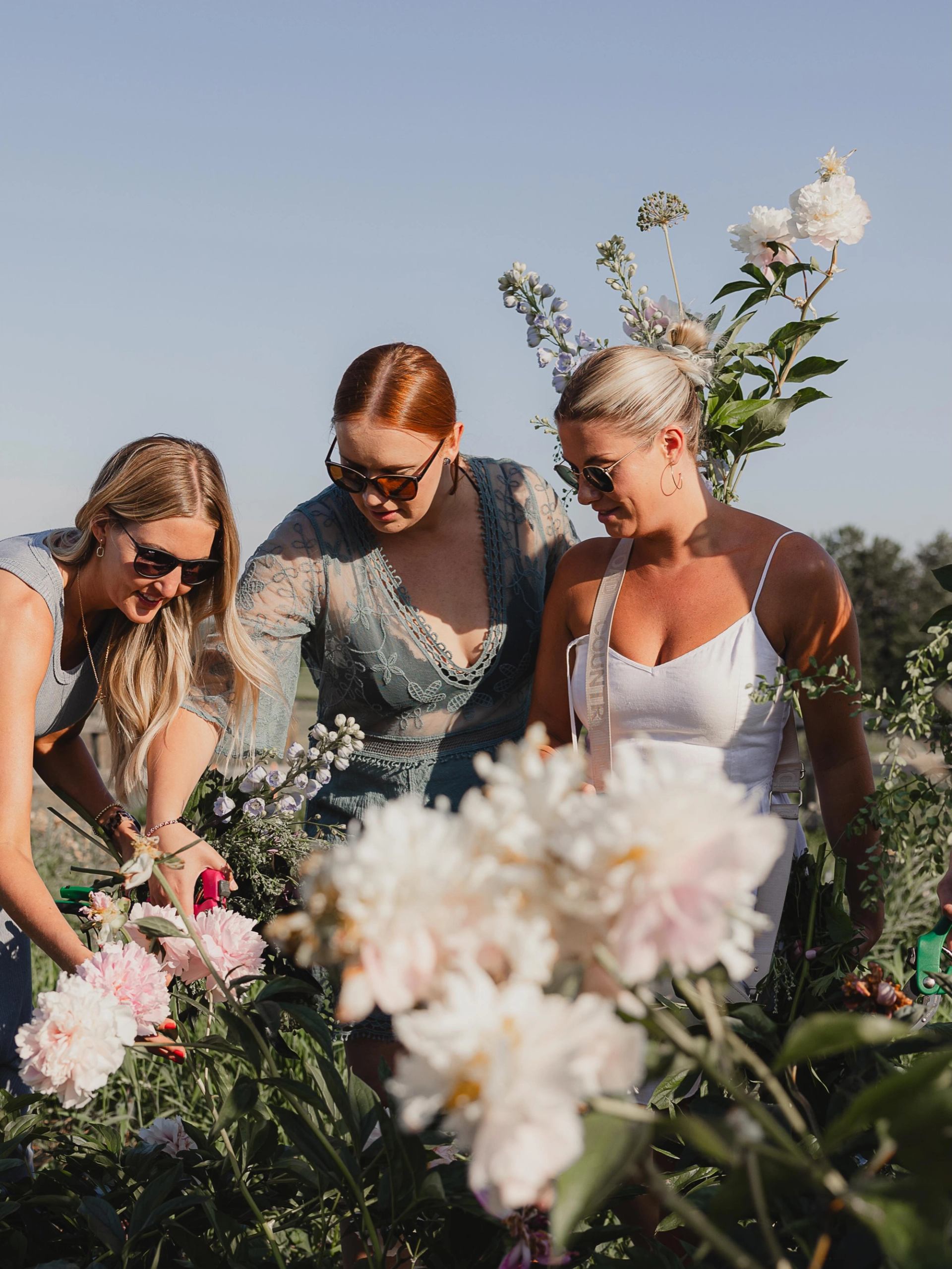 Three people wearing sunglasses pick flowers in a sunny garden with tall blooms.